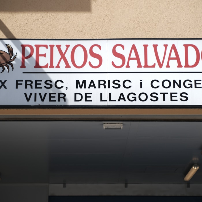 peixos-salvador-01